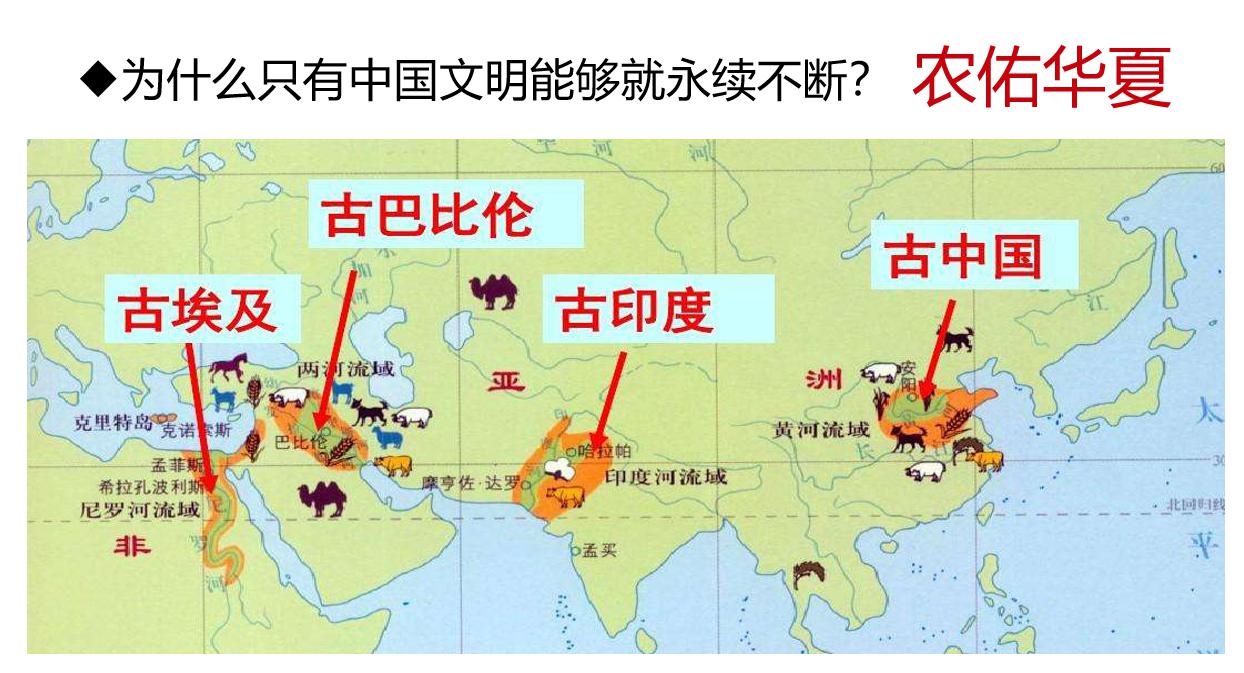 历史机遇|品牌农业成为未来农业发展升级的最大机遇(图7)