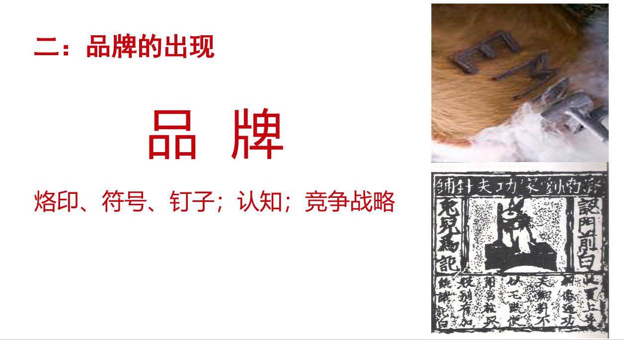历史机遇|品牌农业成为未来农业发展升级的最大机遇(图10)