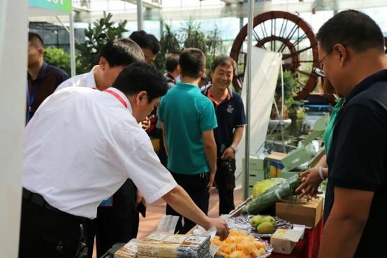“食域滨州”庆丰收  ——滨州市庆祝2019中国农民丰收节系列活动精彩纷呈(图4)