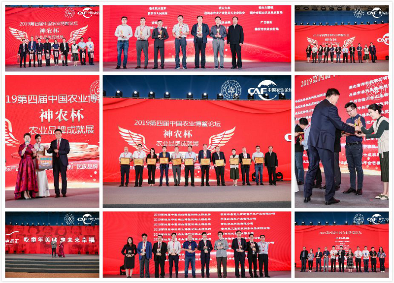 凝聚农业智慧彰显中国力量2019第四届中国农业（博鳌）论坛为农业注入新动力 (图27)