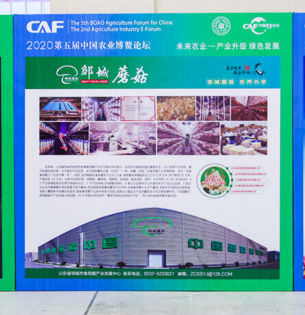“邹城蘑菇”亮相农交会  高品质集群化成会场焦点(图1)
